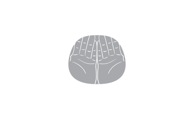 FSVL